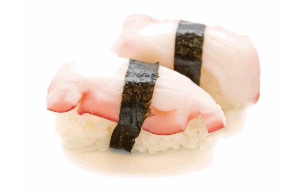 U6 Tako (pouple)