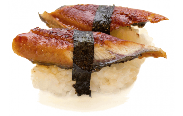 U8 Unagi (anguille)