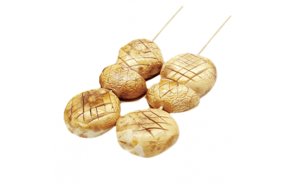 Y12 Champignon