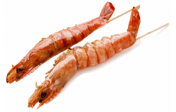 Y9 Ebi (gambas)